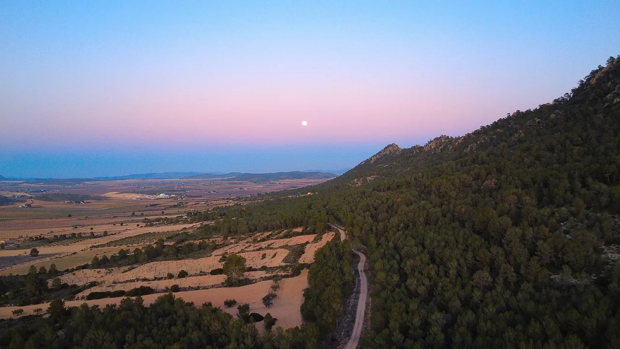 Sierra con pinar y luna sobre el horizonte al atardecer